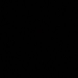 Meet your Posher, Elham